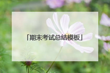 期末考试总结模板