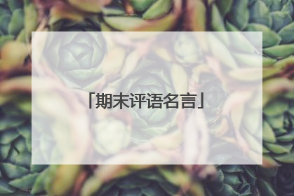 期末评语名言