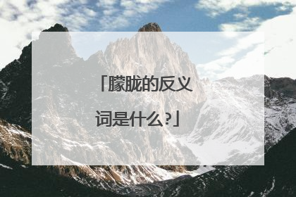 朦胧的反义词是什么?