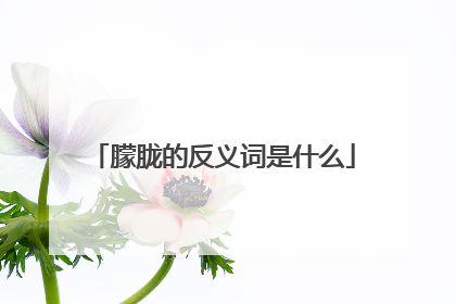 朦胧的反义词是什么