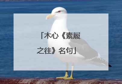 木心《素履之往》名句
