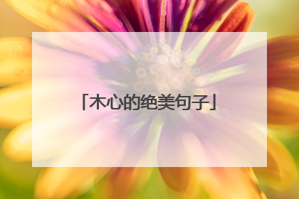 木心的绝美句子