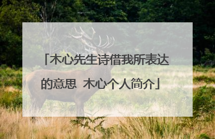 木心先生诗借我所表达的意思 木心个人简介