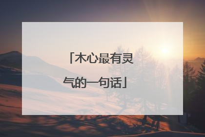 木心最有灵气的一句话