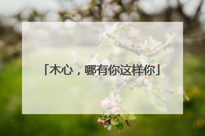 木心，哪有你这样你