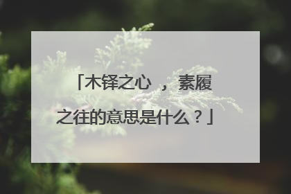木铎之心 , 素履之往的意思是什么?