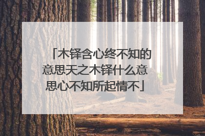 木铎含心终不知的意思天之木铎什么意思心不知所起情不