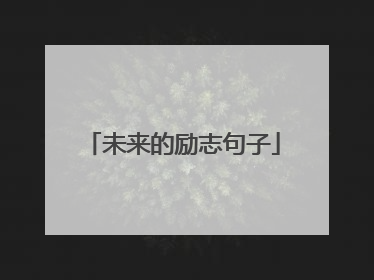 未来的励志句子