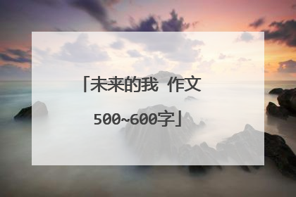未来的我 作文 500~600字