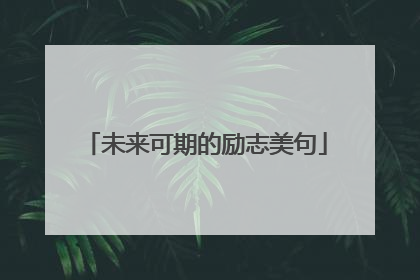 未来可期的励志美句