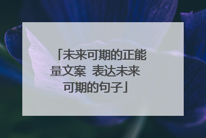 未来可期的正能量文案 表达未来可期的句子