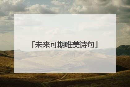 未来可期唯美诗句