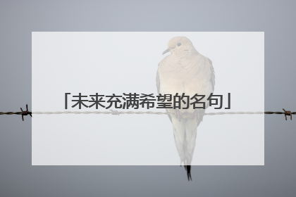 未来充满希望的名句