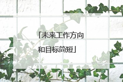 未来工作方向和目标简短