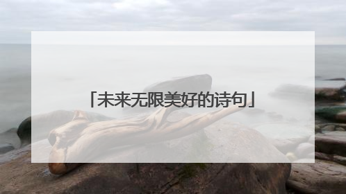 未来无限美好的诗句