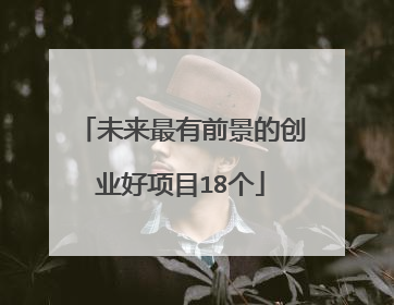 未来最有前景的创业好项目18个