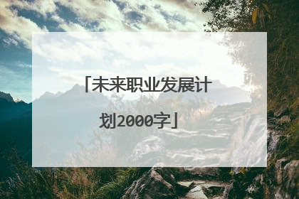 未来职业发展计划2000字