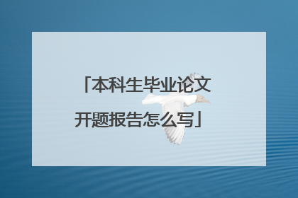 本科生毕业论文开题报告怎么写