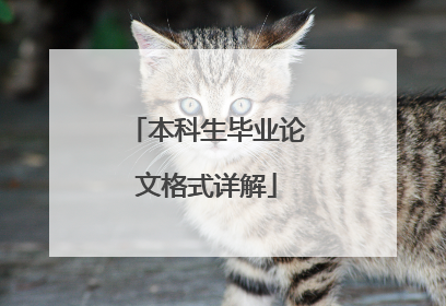 本科生毕业论文格式详解