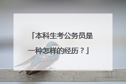 本科生考公务员是一种怎样的经历？