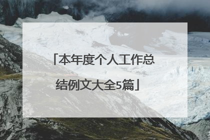 本年度个人工作总结例文大全5篇
