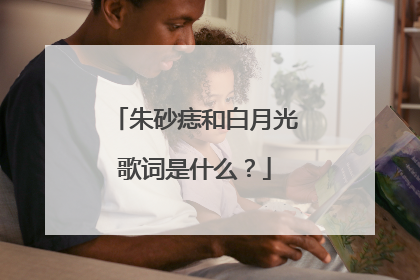朱砂痣和白月光歌词是什么?