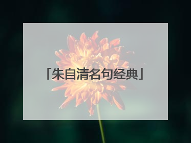 朱自清名句经典