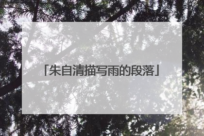 朱自清描写雨的段落