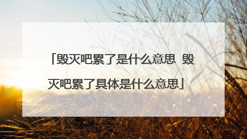 毁灭吧累了是什么意思 毁灭吧累了具体是什么意思