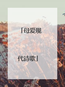 母爱现代诗歌