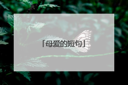 母爱的短句