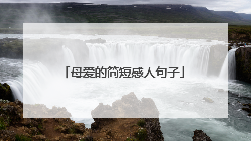 母爱的简短感人句子