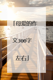 母爱的作文300字左右
