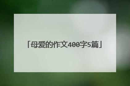 母爱的作文400字5篇