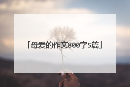 母爱的作文800字5篇