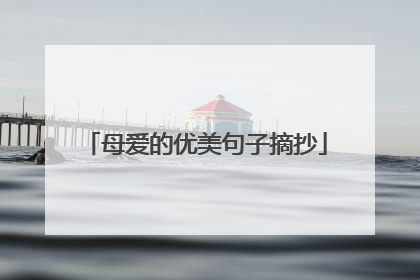 母爱的优美句子摘抄