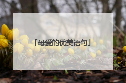 母爱的优美语句