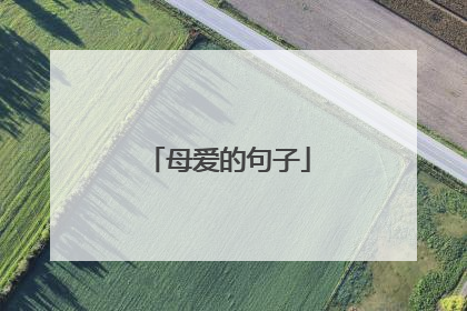 母爱的句子