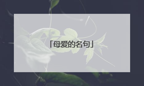 母爱的名句