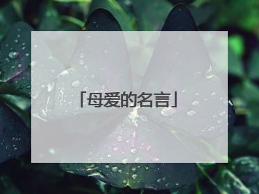 母爱的名言
