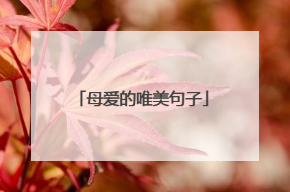 母爱的唯美句子