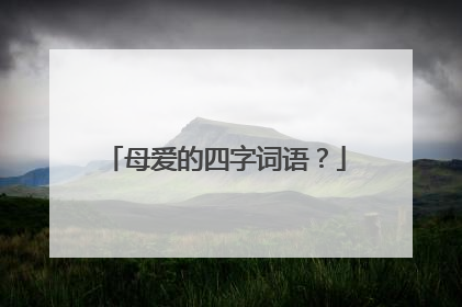母爱的四字词语?