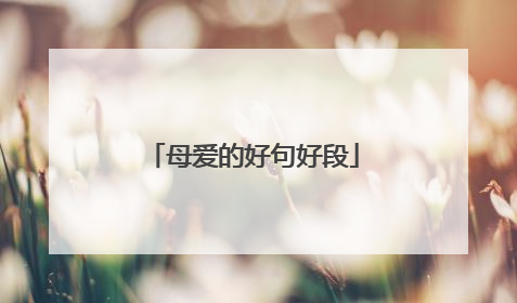 母爱的好句好段
