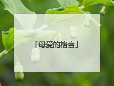 母爱的格言