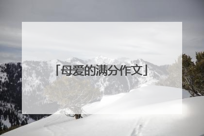 母爱的满分作文