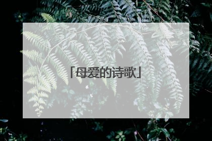 母爱的诗歌