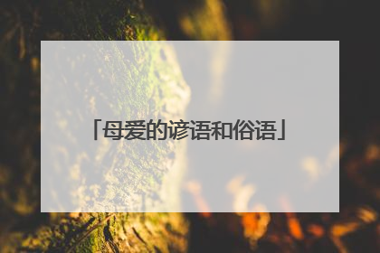 母爱的谚语和俗语