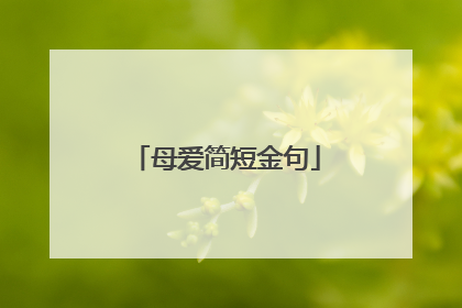 母爱简短金句