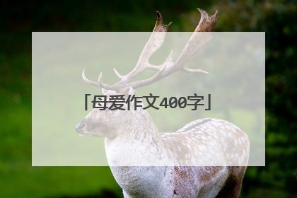 母爱作文400字