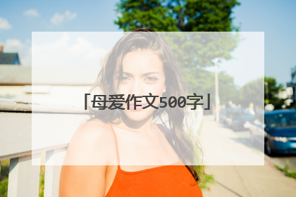 母爱作文500字